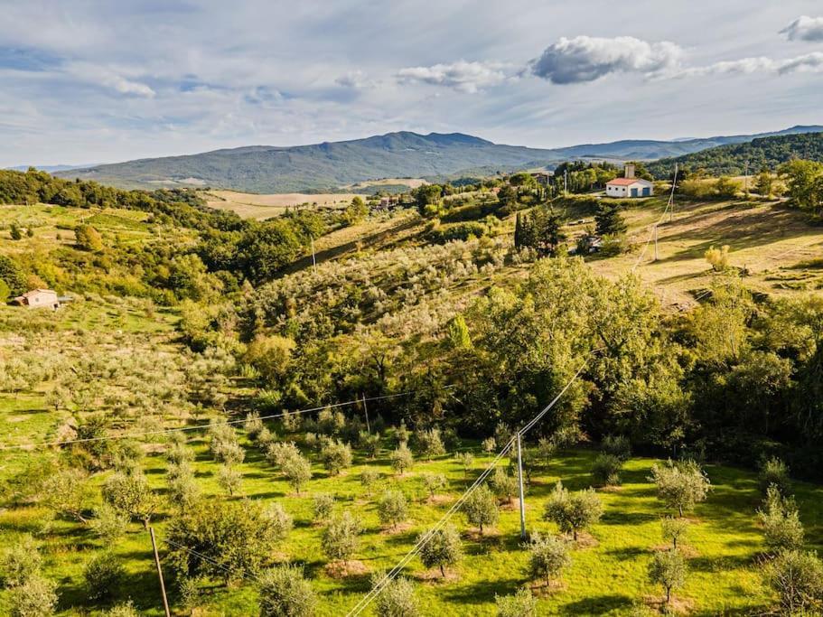Casa Della Nonna Βίλα Chianni Εξωτερικό φωτογραφία